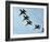 The Blue Angels-Stocktrek Images-Framed Photographic Print