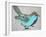 The Blue Bird-Erin McGee Ferrell-Framed Art Print