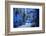 The blue city of Chefchaouen, Morocco, North Africa, Africa-Francesco Fanti-Framed Photographic Print