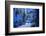 The blue city of Chefchaouen, Morocco, North Africa, Africa-Francesco Fanti-Framed Photographic Print