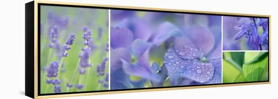 The Blue Garden-Cora Niele-Framed Stretched Canvas