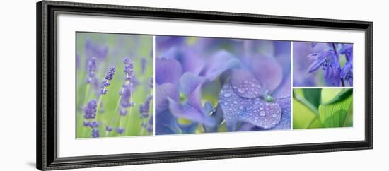 The Blue Garden-Cora Niele-Framed Photographic Print