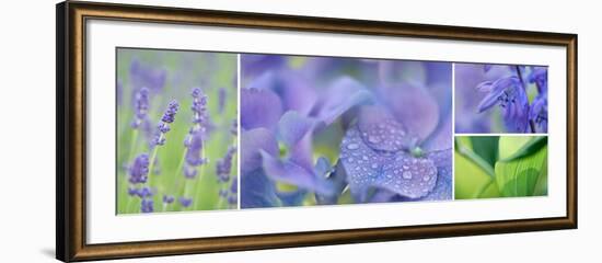 The Blue Garden-Cora Niele-Framed Photographic Print