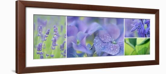 The Blue Garden-Cora Niele-Framed Photographic Print