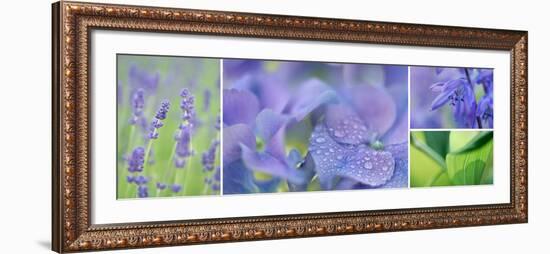 The Blue Garden-Cora Niele-Framed Photographic Print