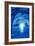 The Blue Grotto in Capri-Angus Mcbride-Framed Giclee Print