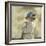 The Blue Hat-Sir William Orpen-Framed Giclee Print