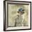 The Blue Hat-Sir William Orpen-Framed Giclee Print