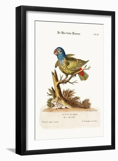 The Blue-Headed Parrot, 1749-73-George Edwards-Framed Giclee Print