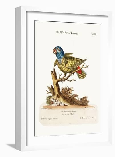 The Blue-Headed Parrot, 1749-73-George Edwards-Framed Giclee Print