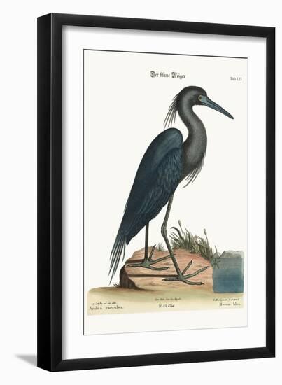 The Blue Heron, 1749-73-Mark Catesby-Framed Giclee Print