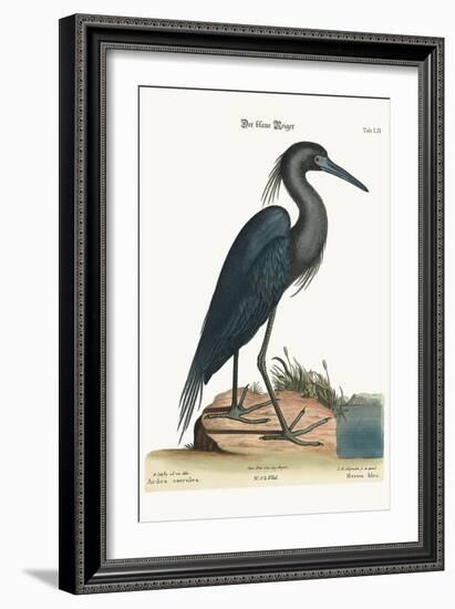 The Blue Heron, 1749-73-Mark Catesby-Framed Giclee Print