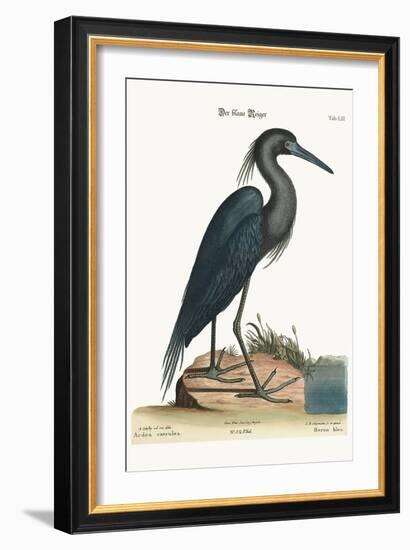 The Blue Heron, 1749-73-Mark Catesby-Framed Giclee Print