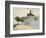 The Blue House, Zaandam-Claude Monet-Framed Giclee Print