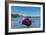 The blue light of dusk on the typical house of fishermen and frozen sea, Fjordbotn, Senja, Norway-Roberto Moiola-Framed Photographic Print