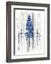 The Blue Moose - Lodge Pole Pine-LightBoxJournal-Framed Giclee Print
