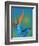 The Blue Morpho on Bird of Paradise-Darrell Gulin-Framed Photographic Print