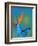 The Blue Morpho on Bird of Paradise-Darrell Gulin-Framed Photographic Print