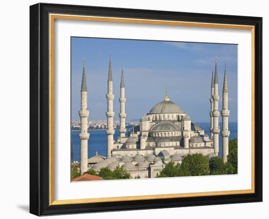 The Blue Mosque (Sultan Ahmet Camii), Sultanahmet, Central Istanbul, Turkey-Neale Clarke-Framed Photographic Print
