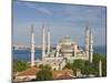 The Blue Mosque (Sultan Ahmet Camii), Sultanahmet, Central Istanbul, Turkey-Neale Clarke-Mounted Photographic Print