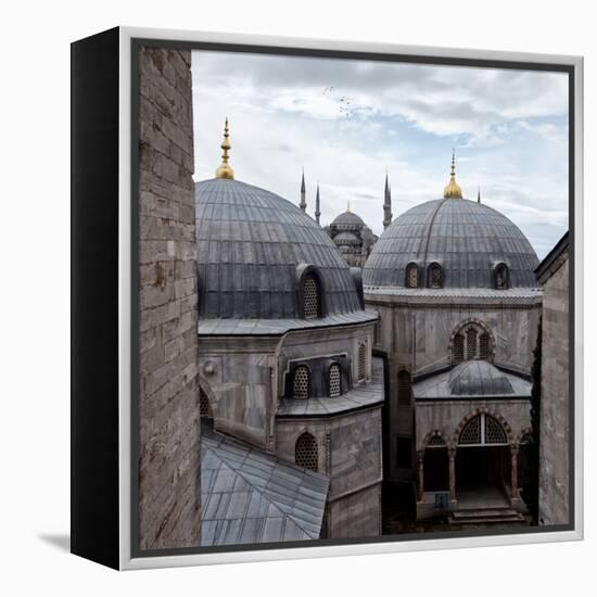 The Blue Mosque Viewed Over the Domes of the Hagia Sophia-Alex Saberi-Framed Premier Image Canvas