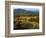 The Blue Ridge Parkway, Patrick County, Virginia, USA-Charles Gurche-Framed Photographic Print