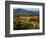 The Blue Ridge Parkway, Patrick County, Virginia, USA-Charles Gurche-Framed Photographic Print