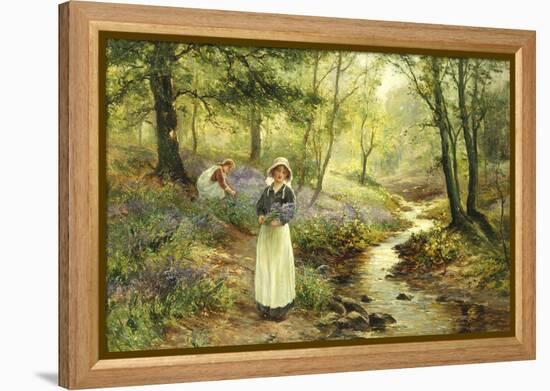 The Bluebell Glade-Ernest Walbourn-Framed Premier Image Canvas