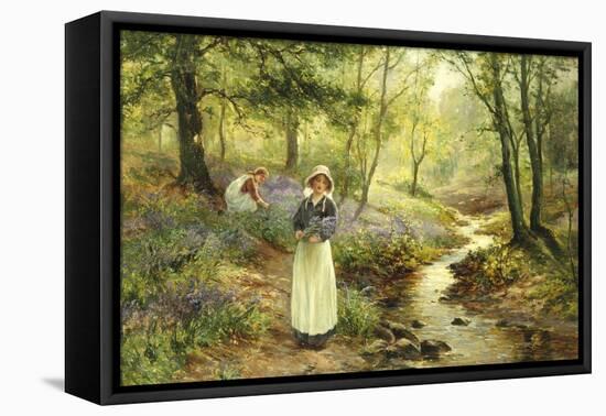 The Bluebell Glade-Ernest Walbourn-Framed Premier Image Canvas