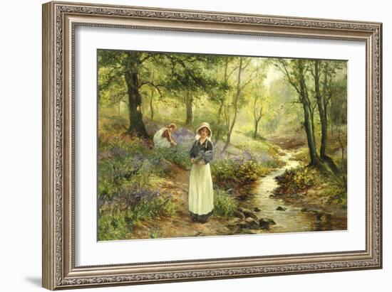 The Bluebell Glade-Ernest Walbourn-Framed Giclee Print