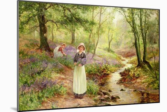 The Bluebell Glade-Ernest Walbourn-Mounted Giclee Print