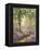 The Bluebell Wood-Alfred Fontville de Breanski-Framed Premier Image Canvas