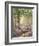 The Bluebell Wood-Alfred Fontville de Breanski-Framed Giclee Print