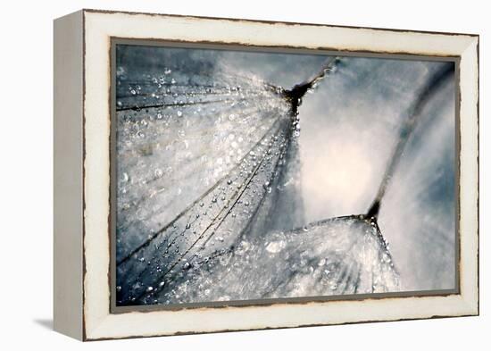 The Blues-Ursula Abresch-Framed Premier Image Canvas