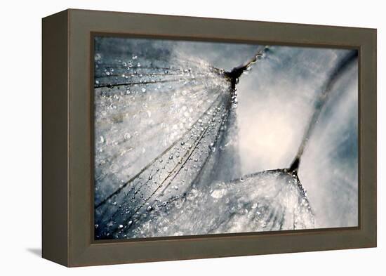 The Blues-Ursula Abresch-Framed Premier Image Canvas