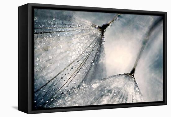 The Blues-Ursula Abresch-Framed Premier Image Canvas