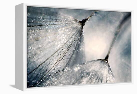 The Blues-Ursula Abresch-Framed Premier Image Canvas