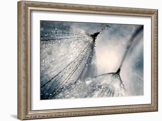 The Blues-Ursula Abresch-Framed Photographic Print