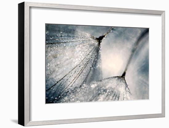 The Blues-Ursula Abresch-Framed Photographic Print