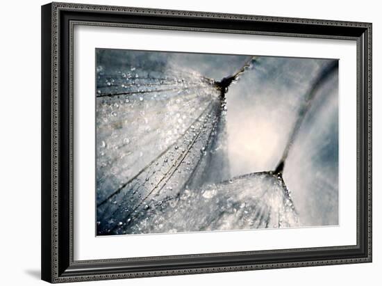 The Blues-Ursula Abresch-Framed Photographic Print