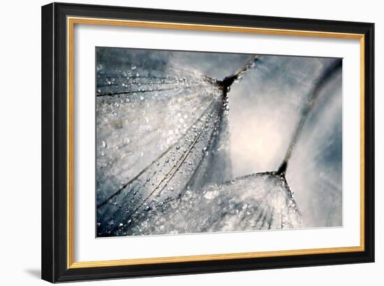 The Blues-Ursula Abresch-Framed Photographic Print