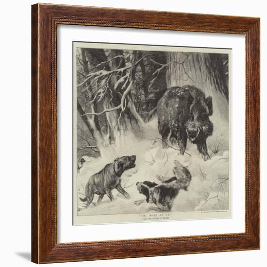 The Boar at Bay-null-Framed Giclee Print