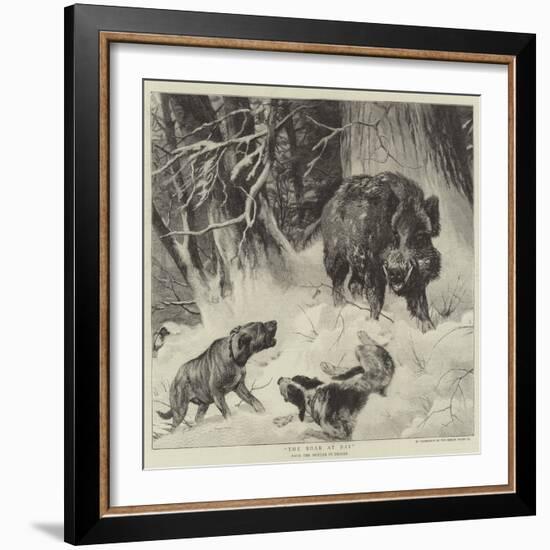 The Boar at Bay-null-Framed Giclee Print