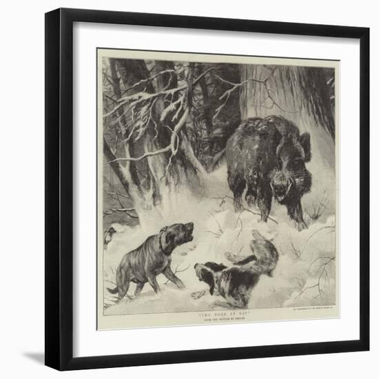 The Boar at Bay--Framed Giclee Print