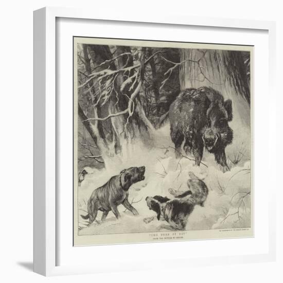 The Boar at Bay-null-Framed Giclee Print