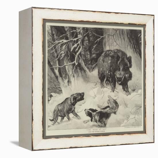 The Boar at Bay-null-Framed Premier Image Canvas