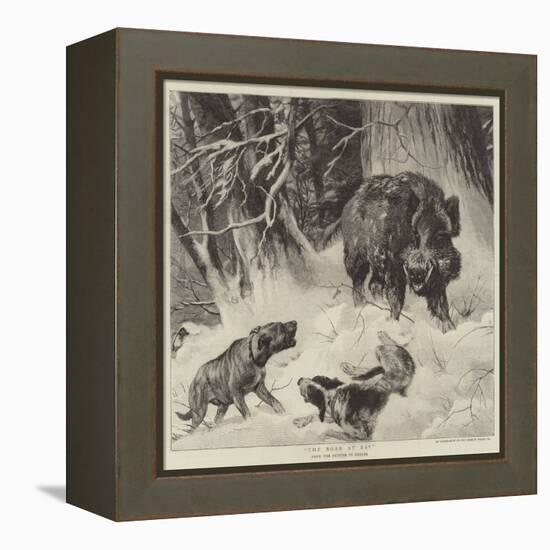 The Boar at Bay-null-Framed Premier Image Canvas