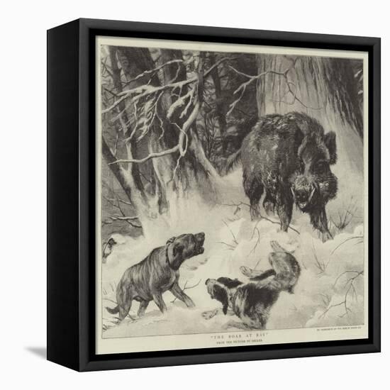 The Boar at Bay-null-Framed Premier Image Canvas