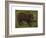 The Boar-Rosa Bonheur-Framed Premium Giclee Print