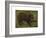 The Boar-Rosa Bonheur-Framed Premium Giclee Print